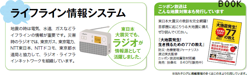 ライフライン情報システム