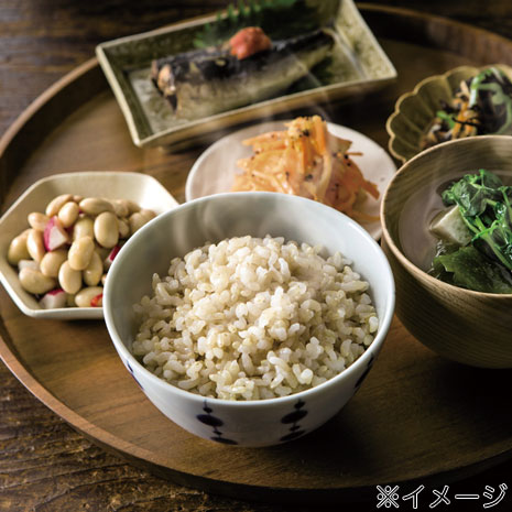 象印 ｉｈ炊飯器 極め炊き ３合炊き ニッポン放送ラジオショッピング通販 オンライン ラジオリビング