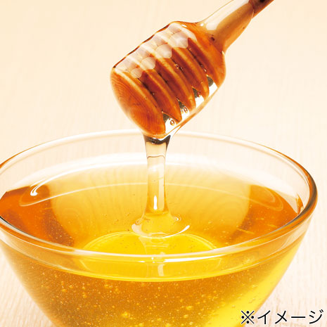 ３本 ハンガリー産 アカシアはちみつ ニッポン放送ラジオショッピング通販 オンライン ラジオリビング