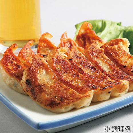 １００個 プロも唸った 傑作もちもち餃子 ニッポン放送ラジオショッピング通販 オンライン ラジオリビング