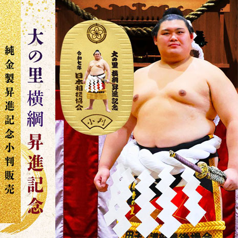 大相撲　大の里関グッズ７個セット Amazon.co.jp: 大相撲 大の里関グッズ : おもちゃ