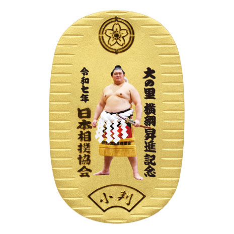大の里 大関昇進記念祝賀会 記念品 7点セット 非売品 プレゼント