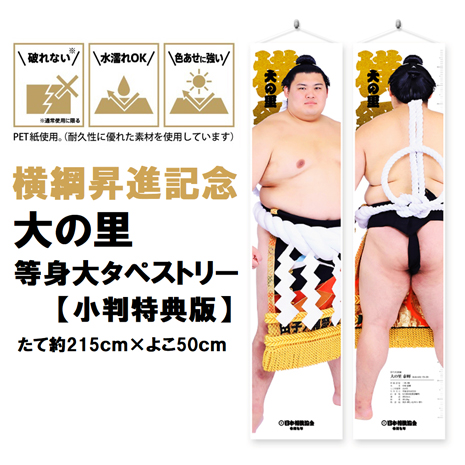 大の里 大関昇進記念祝賀会 記念品 7点セット 非売品 プレゼント