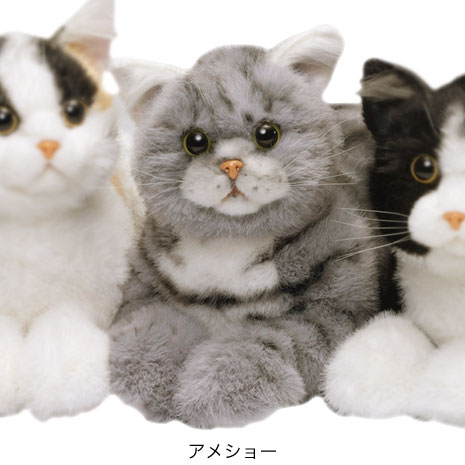 アメショー）なでなでねこちゃん EX】 ニッポン放送ラジオ