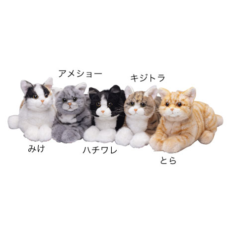 アメショー）なでなでねこちゃん EX】 ニッポン放送ラジオ