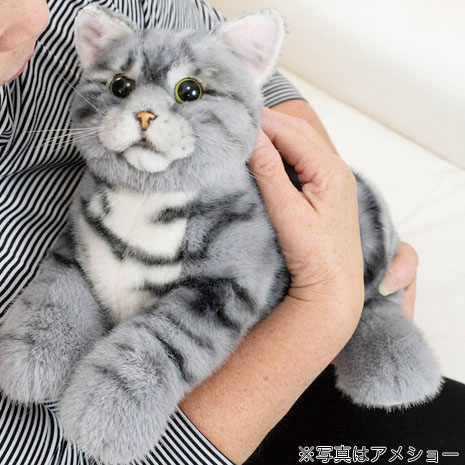 猫　優しいキジトラちゃん　額付　53cm×41cm なでなでねこちゃんEXキジトラ | Giftpad egift