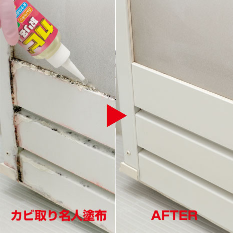 カビ取り名人 2本組】 ニッポン放送ラジオショッピング通販