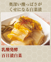 乳酸発酵　百日漬白菜