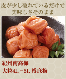 （１．４ｋｇ）カタログ専売　紀州南高梅　大粒４Ｌ－５Ｌ樽底梅