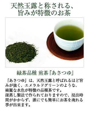 緑茶品種　煎茶『あさつゆ』