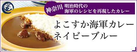 よこすか海軍カレーネイビーブルー