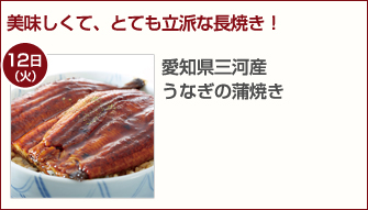 うなぎの蒲焼き